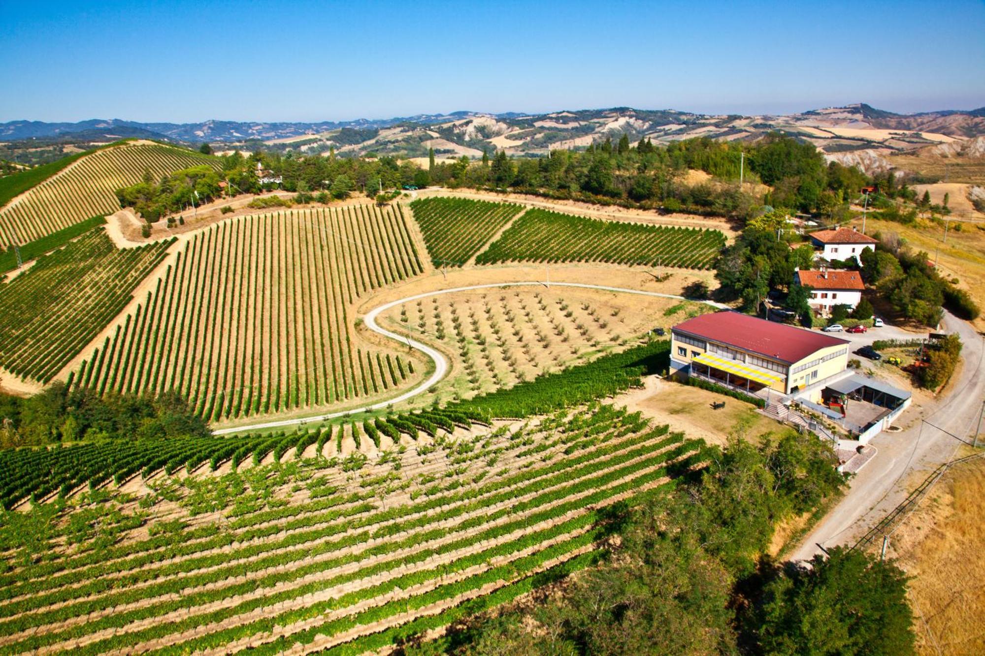 Podere Riosto Cantina&Agriturismo Піоноро Екстер'єр фото